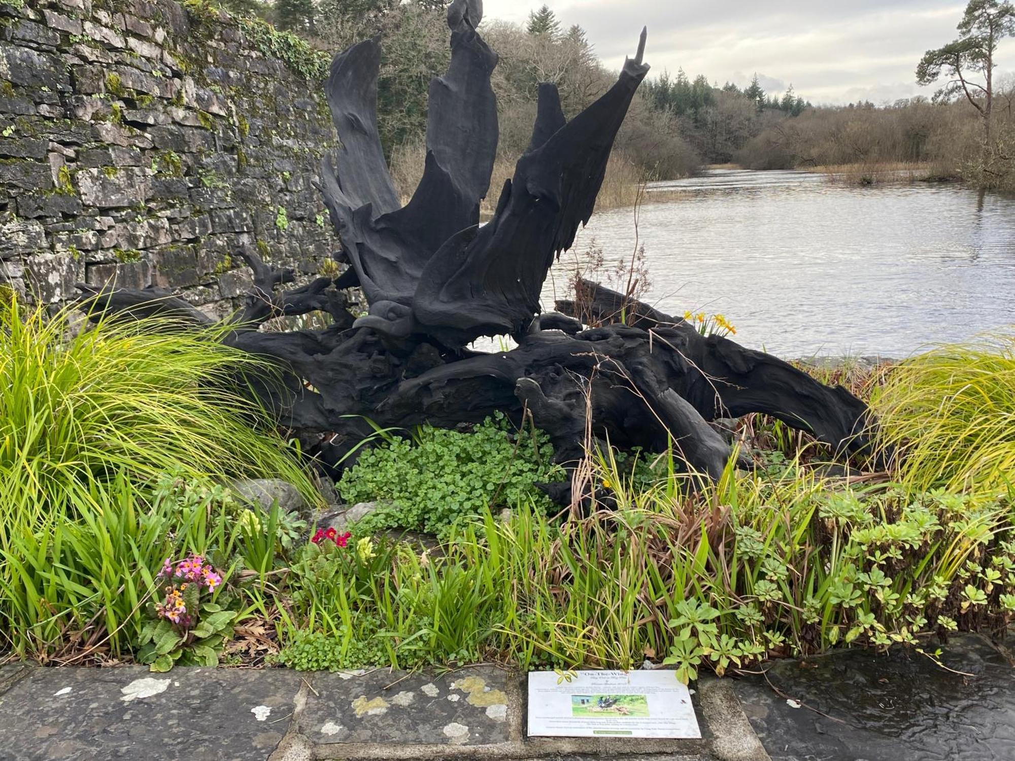 Salmon Weir Lodge Cong Esterno foto